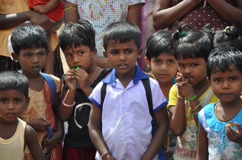 Sri Lanka - barn i flokk