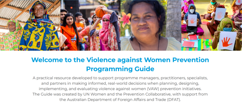 Thumbnail for Violence against Women Prevention Programming Guide